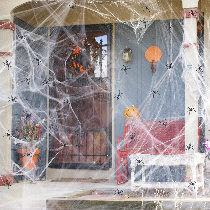 Spider Webs